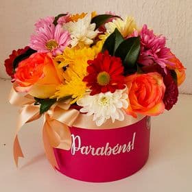 thumb-box-de-flores-parabens-0