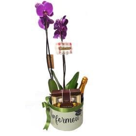 thumb-box-com-orquidea-formatura-0