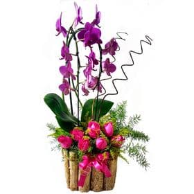 thumb-orquidea-com-rosas-0