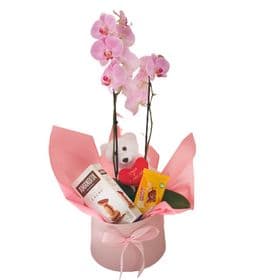 thumb-box-com-orquidea-pelucia-e-chocolates-0