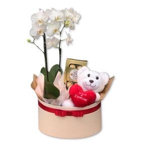 thumb-orquidea-no-box-com-ferrero-rocher-e-pelucia-0