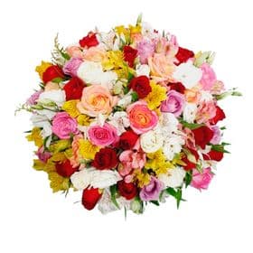 thumb-box-com-100-hastes-de-flores-coloridas-0