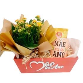 thumb-kit-flor-e-caneca-mae-te-amo-0